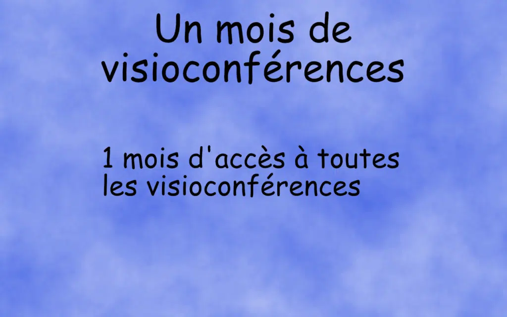 1 mois de visioconférences Vincent Sollero