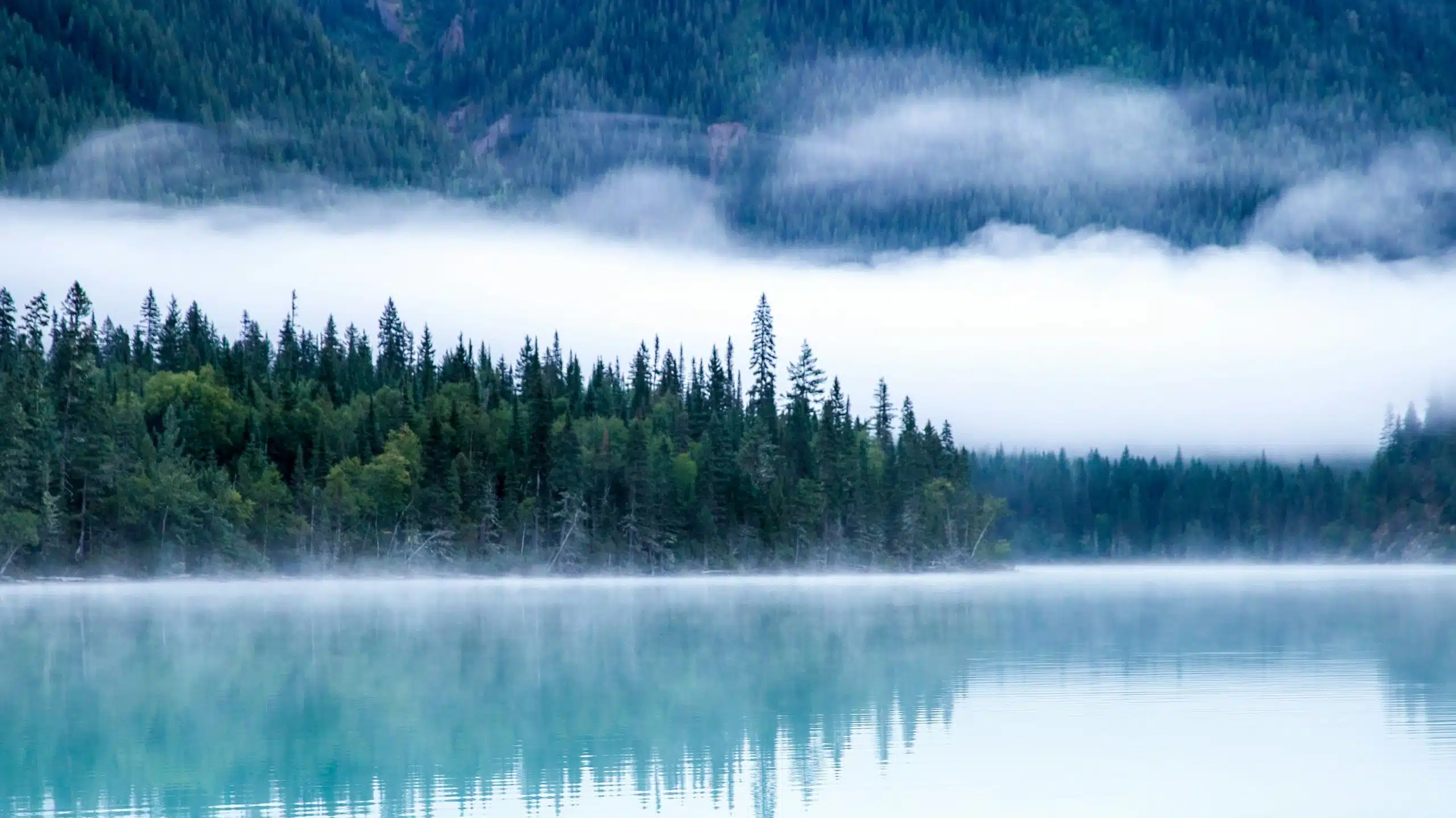 L'Éveil, la libération n'est pas quelque chose à atteindre, il suffit de le reconnaitre. 1 Lac et forêts